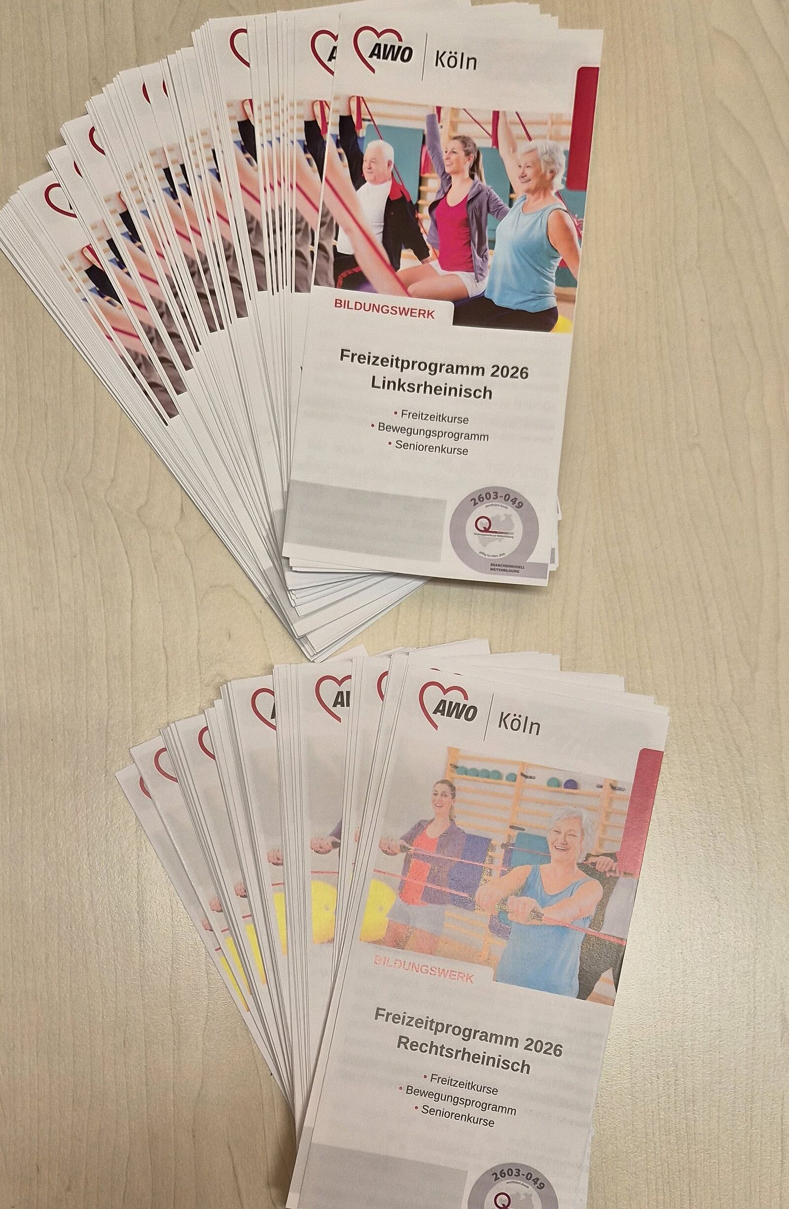 Flyer des Freizeitkurs-Programms 2026